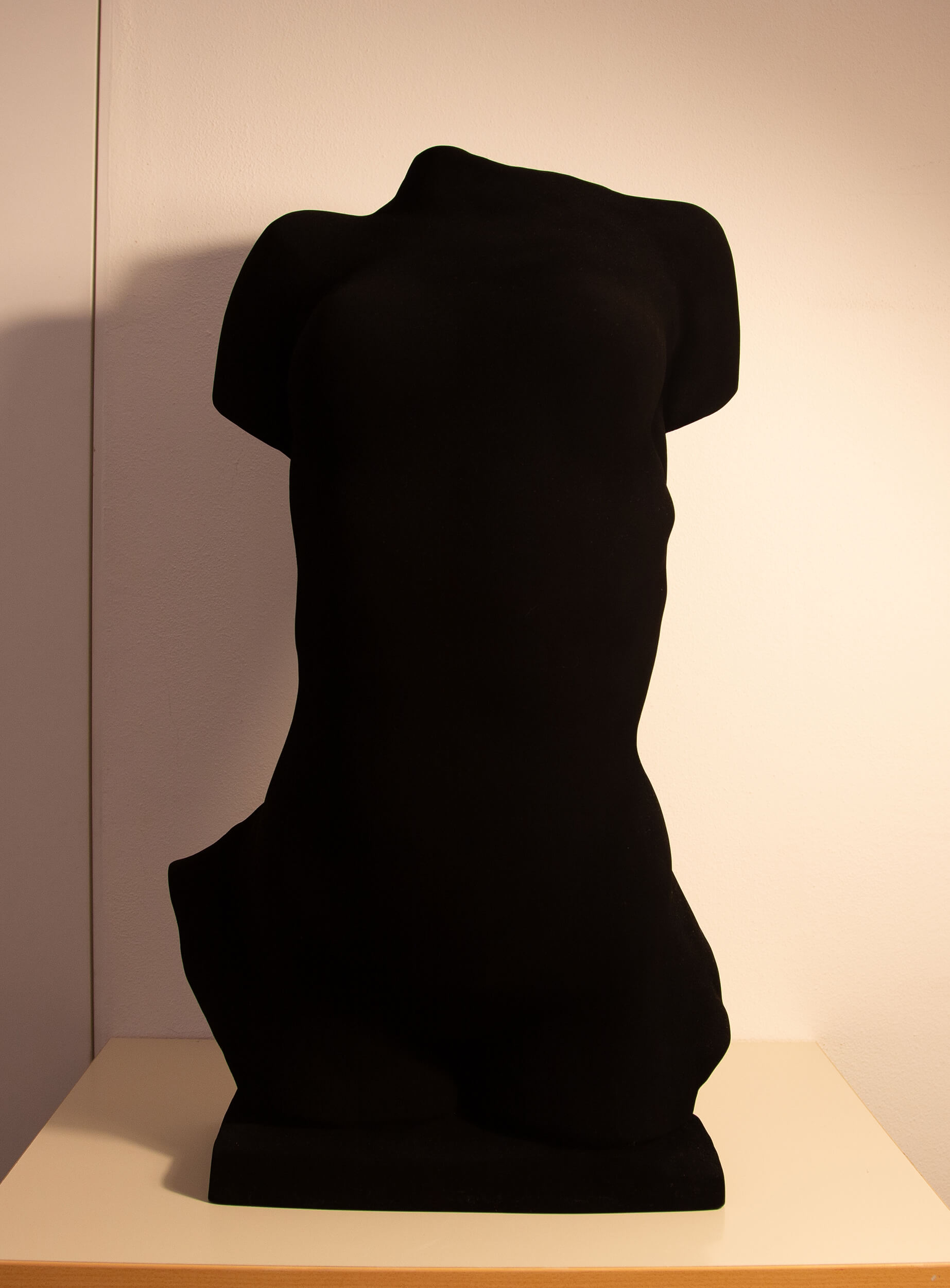 Darkest torso of young woman front